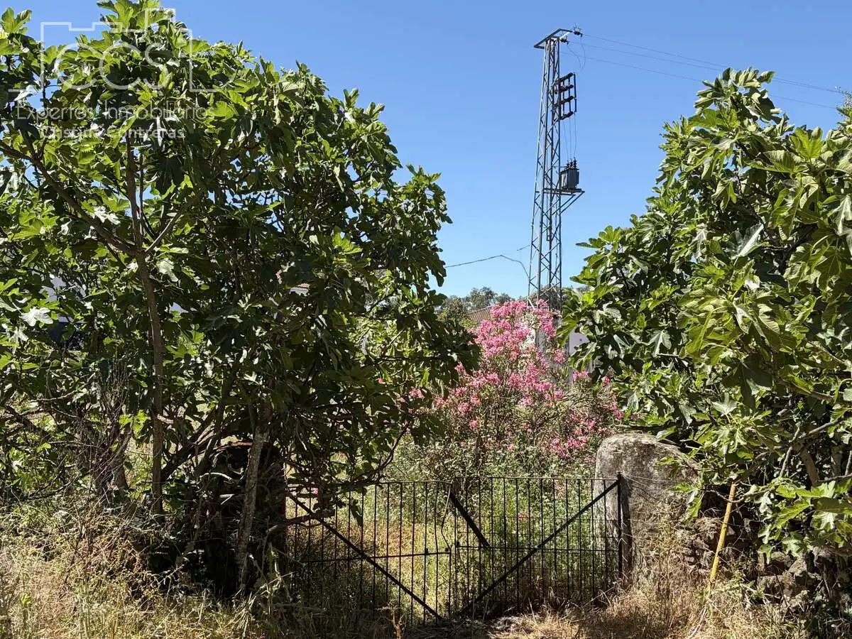 Maison rustique à vendre à El Castillo de las Guardas, imagen 18
