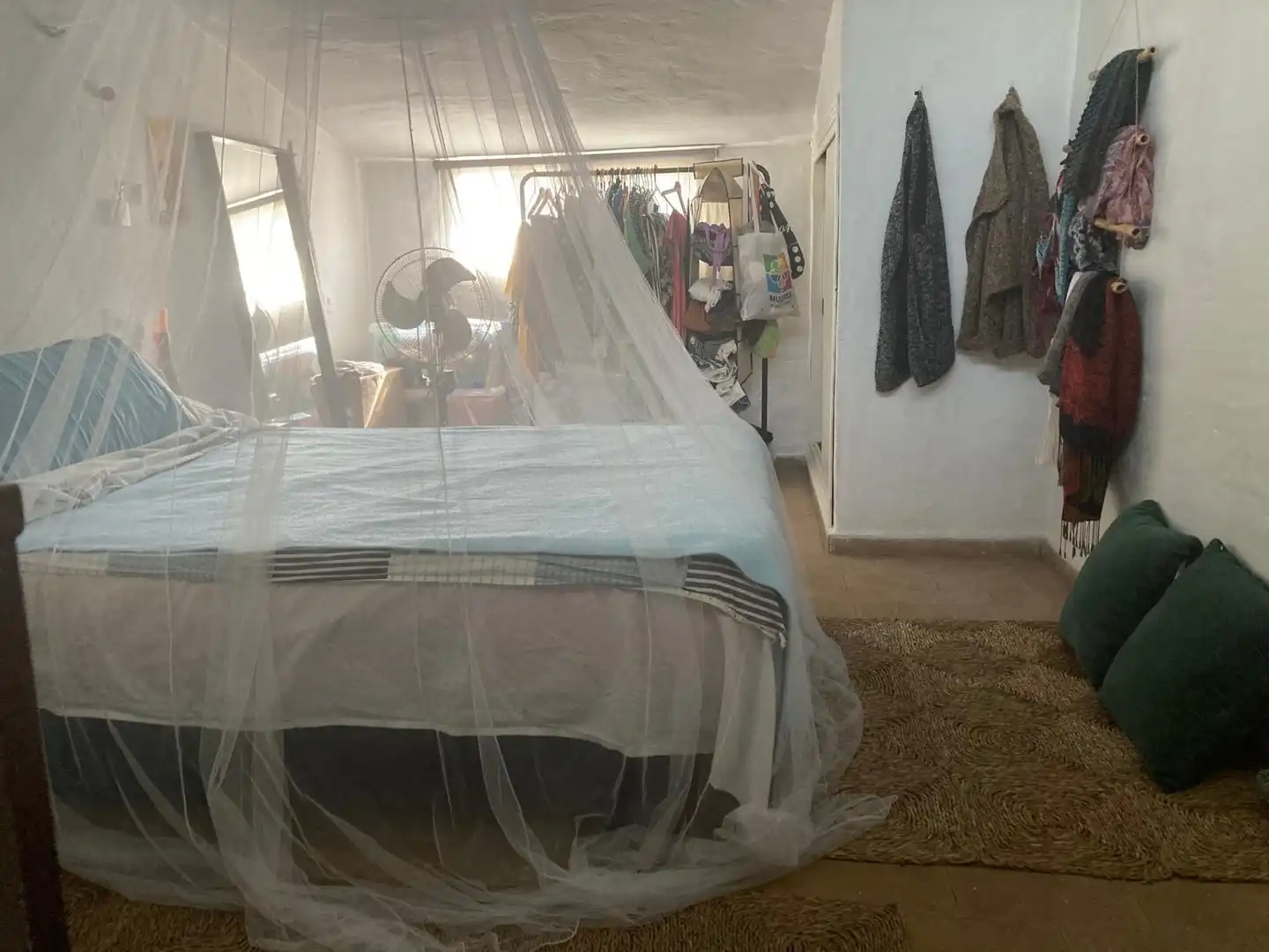 Casa rústica amb jardí en venda a Barbate ciudad, imagen 19
