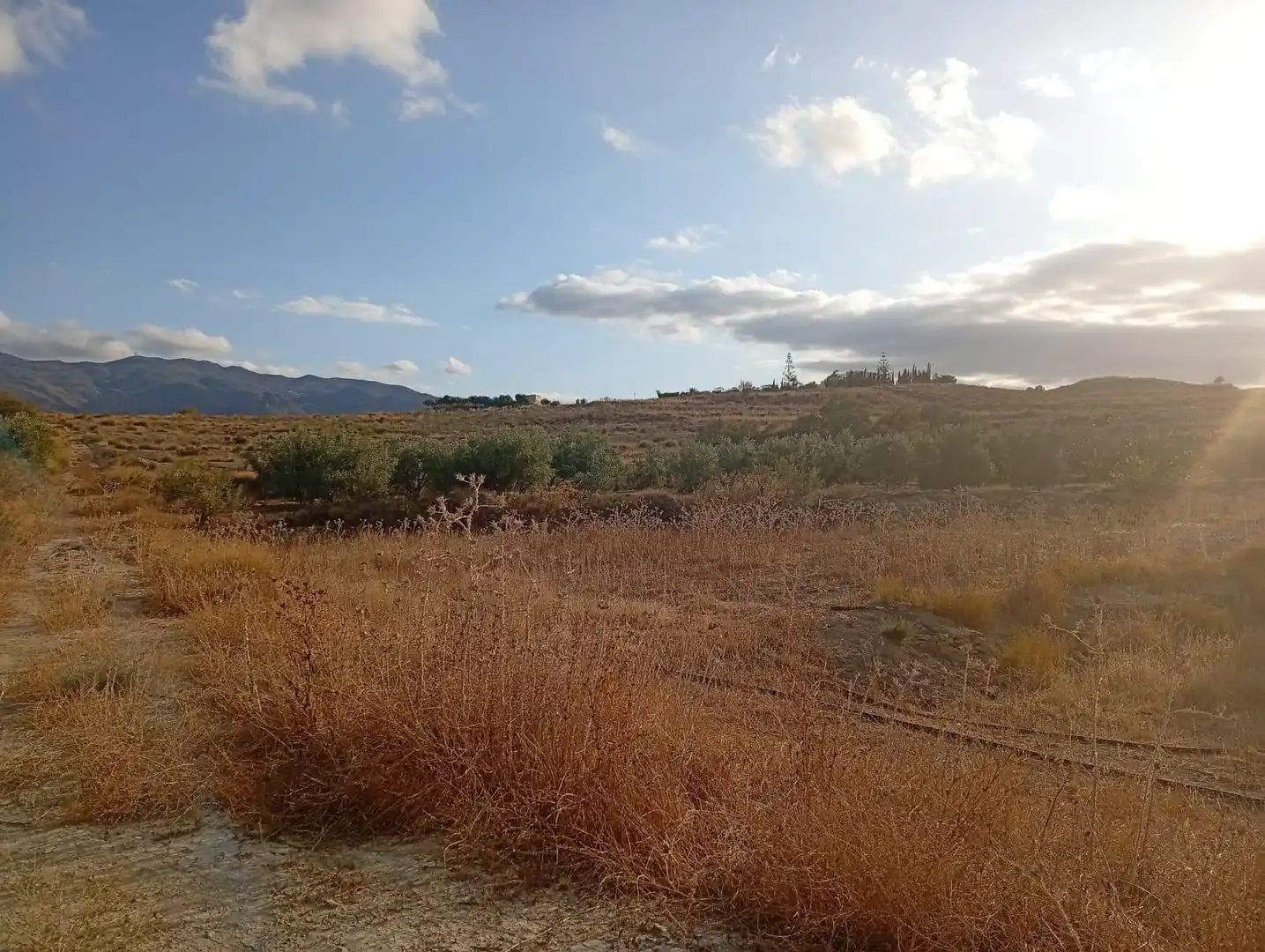 Terrenys i solars en venda a Los Gallardos, imagen 7