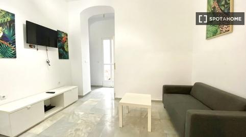 Photo 3 of Flat to share in San Julián,  Sevilla Capital