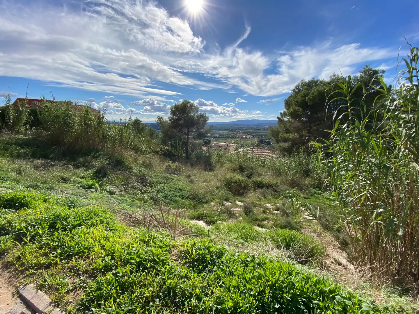 Terreny residencial en venda a Calle Españoleto, imagen 9