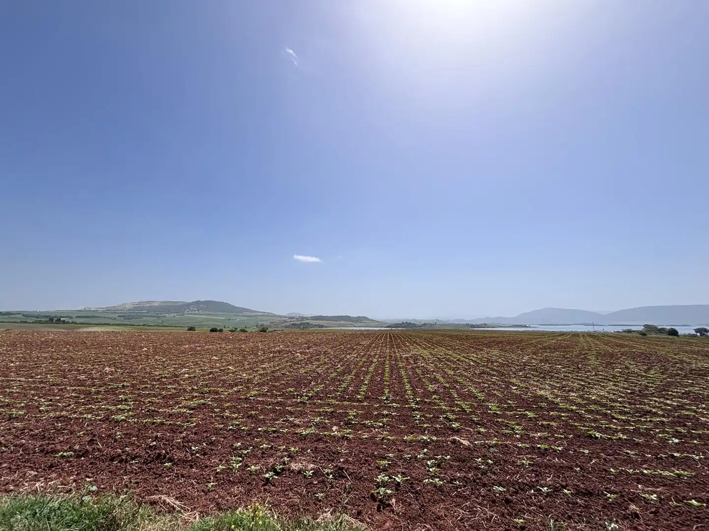 Terreny rústic en venda a Arcos de la Frontera, imagen 8