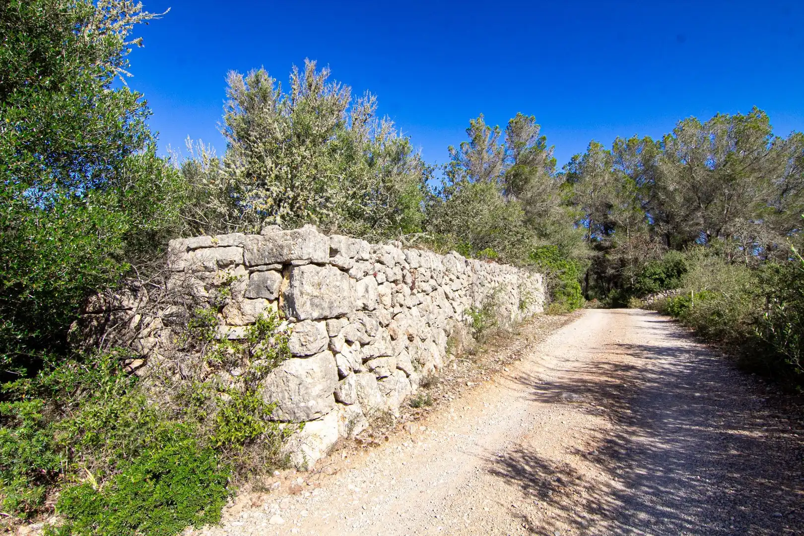 Casa rústica en venda a Porreres a Sant Joan, imagen 42