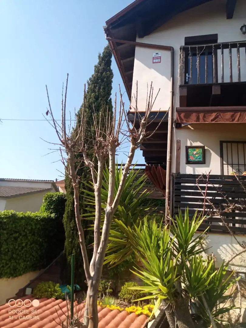 Villa avec terrasse à vendre à Carrer Romaní, imagen 5