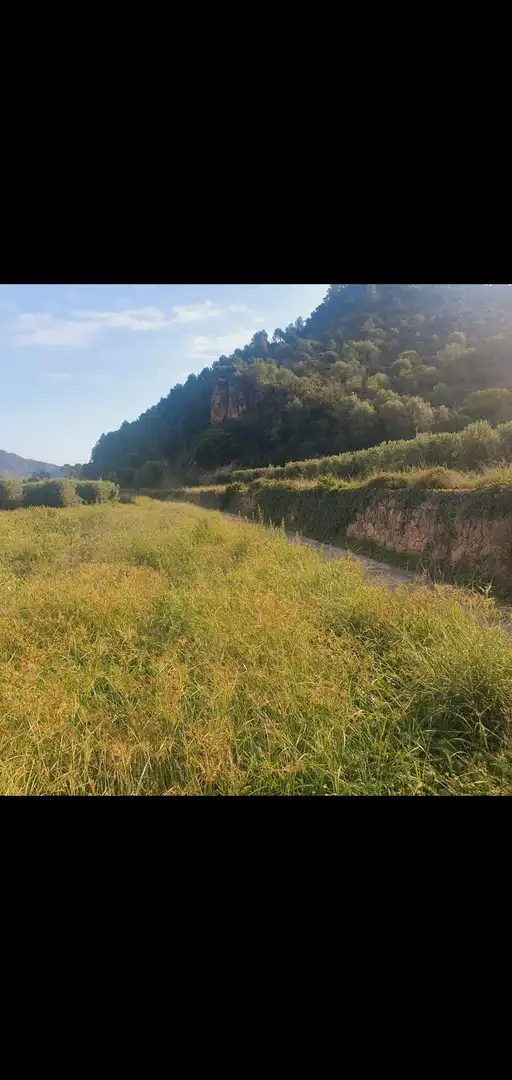 Terreno rústico en venta en Benifallet, imagen 9