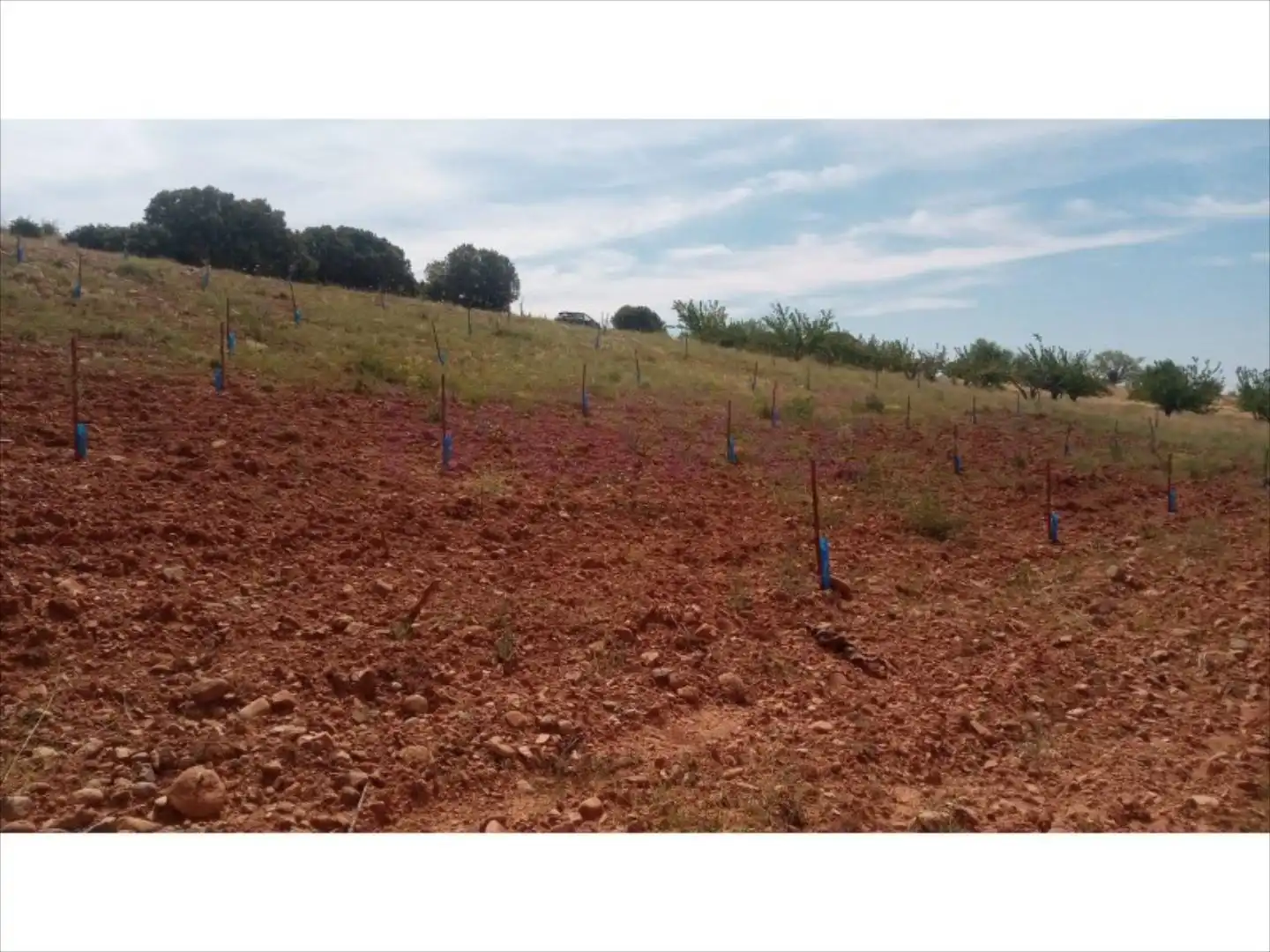 Terreni e lotti in affitto a Clarés de Ribota, imagen 13