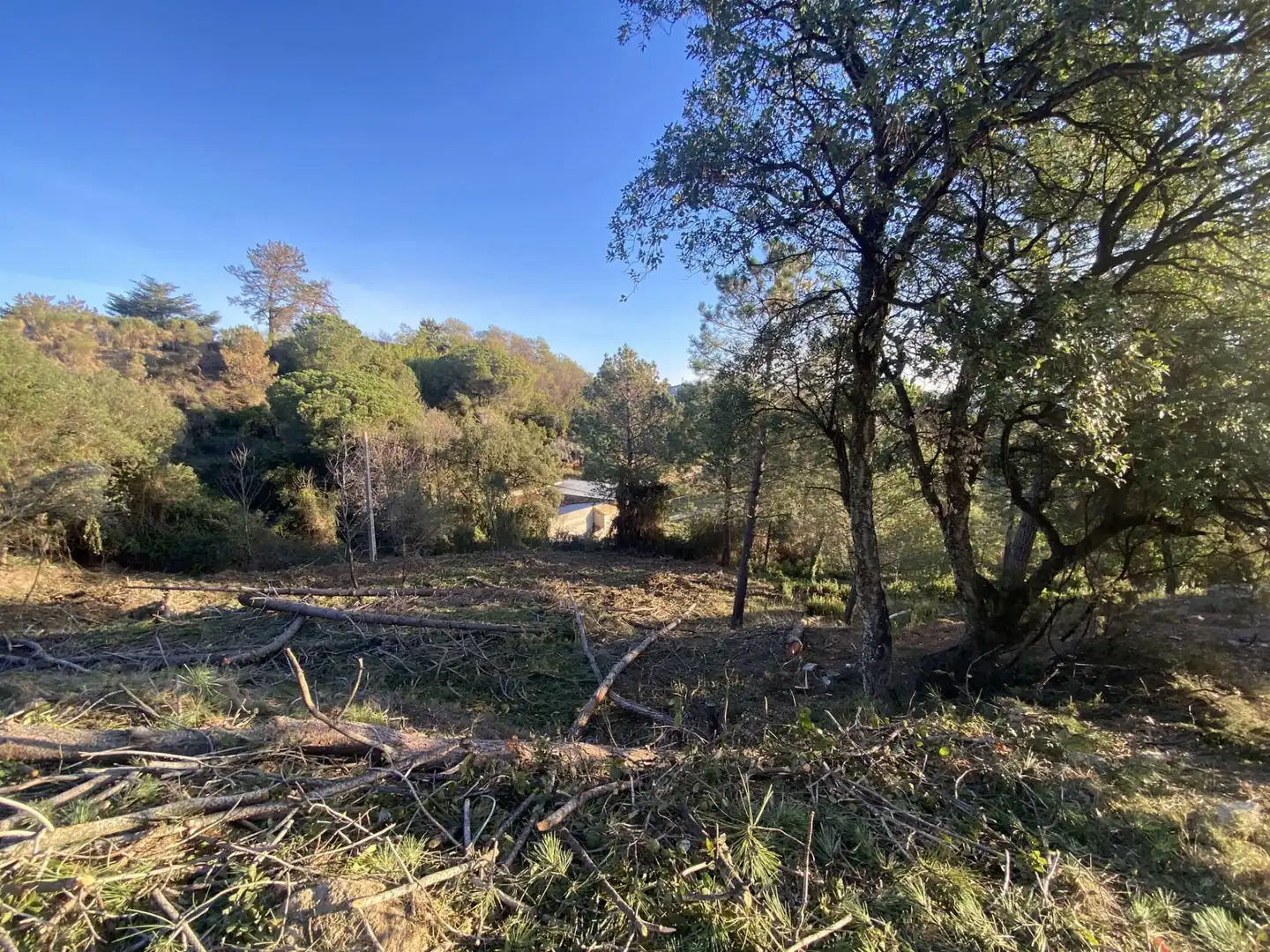 Terreno residencial en venta en Carrer Pi 7, imagen 19