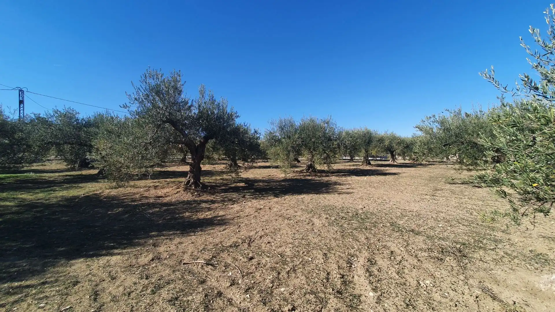 Terreni e lotti in vendita a Centro, imagen 4