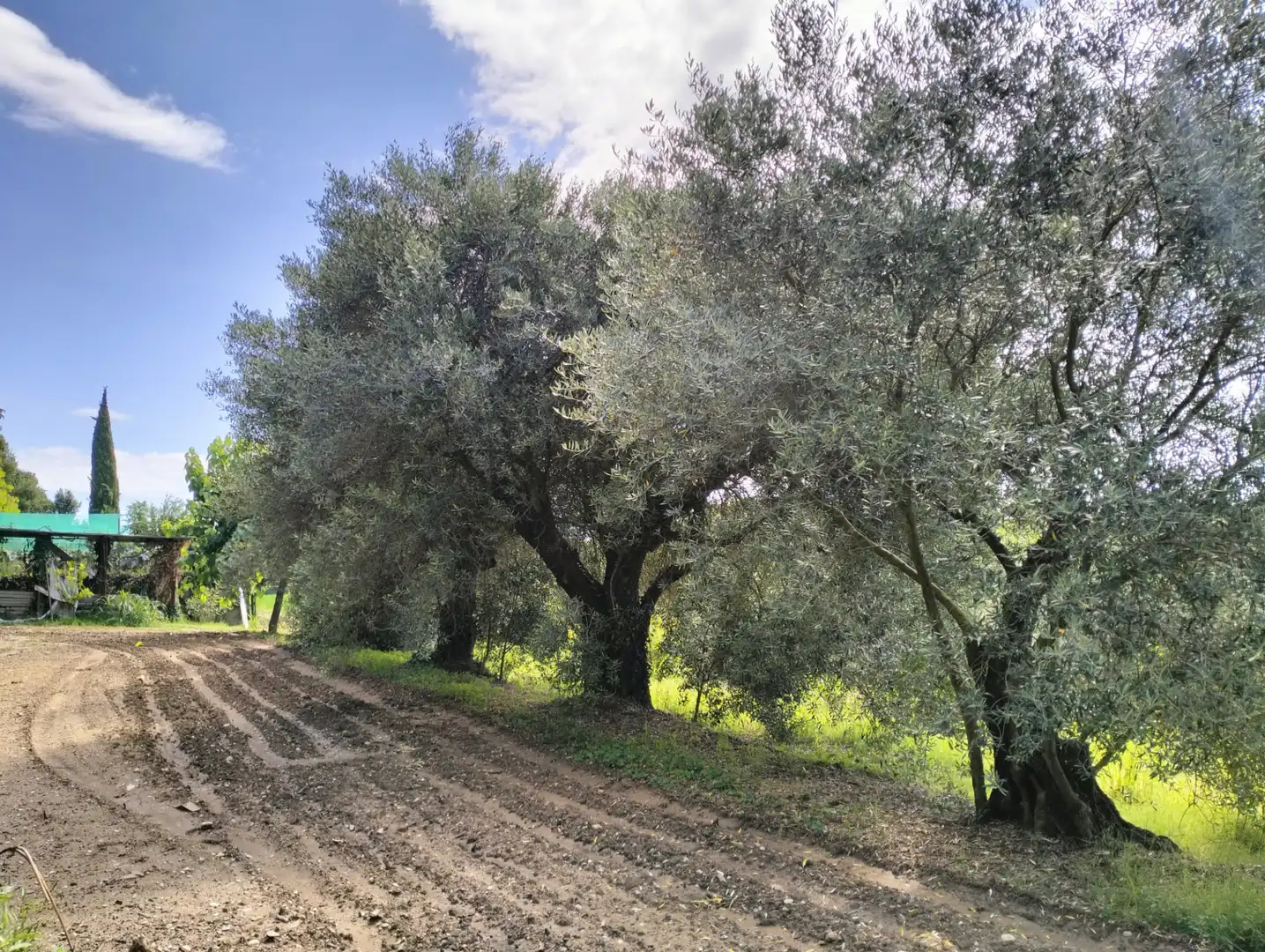 Vista exterior de Casa o xalet en venda en Cervià de Ter amb Jardí privat, Terrassa i Balcó