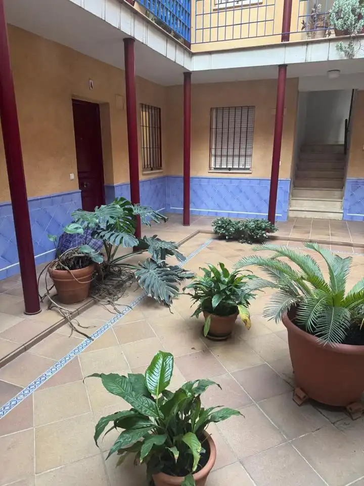 Ground floor with pool to rent in Casco Antiguo, imagen 21