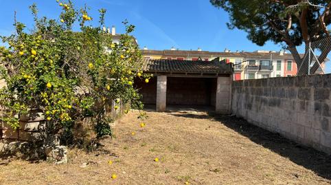 Photo 4 of Industrial buildings for sale in Jaume I 55a, Campos poble, Campos