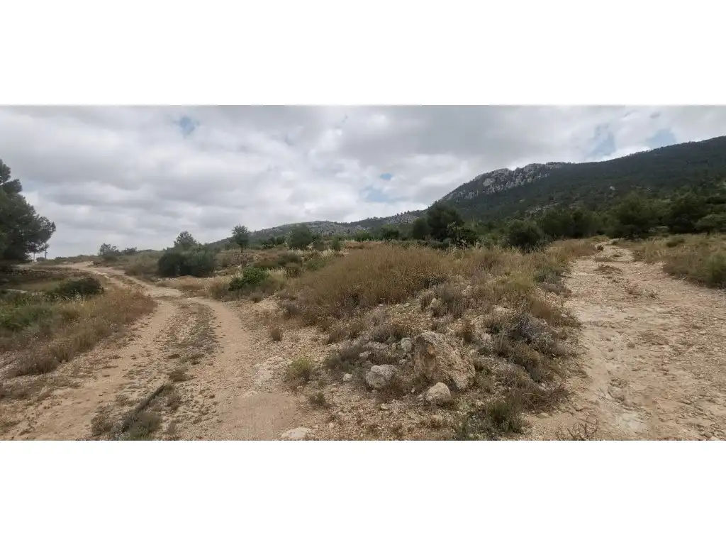 Terrain rustique à vendre à Poligono 7 Paraje 94 Umbria, imagen 4