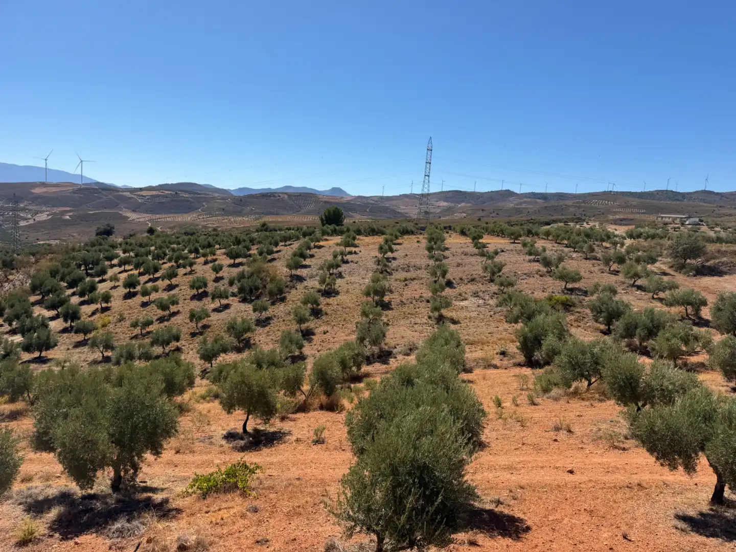 Terreno rustico in vendita a Camino de la Sierra, imagen 10