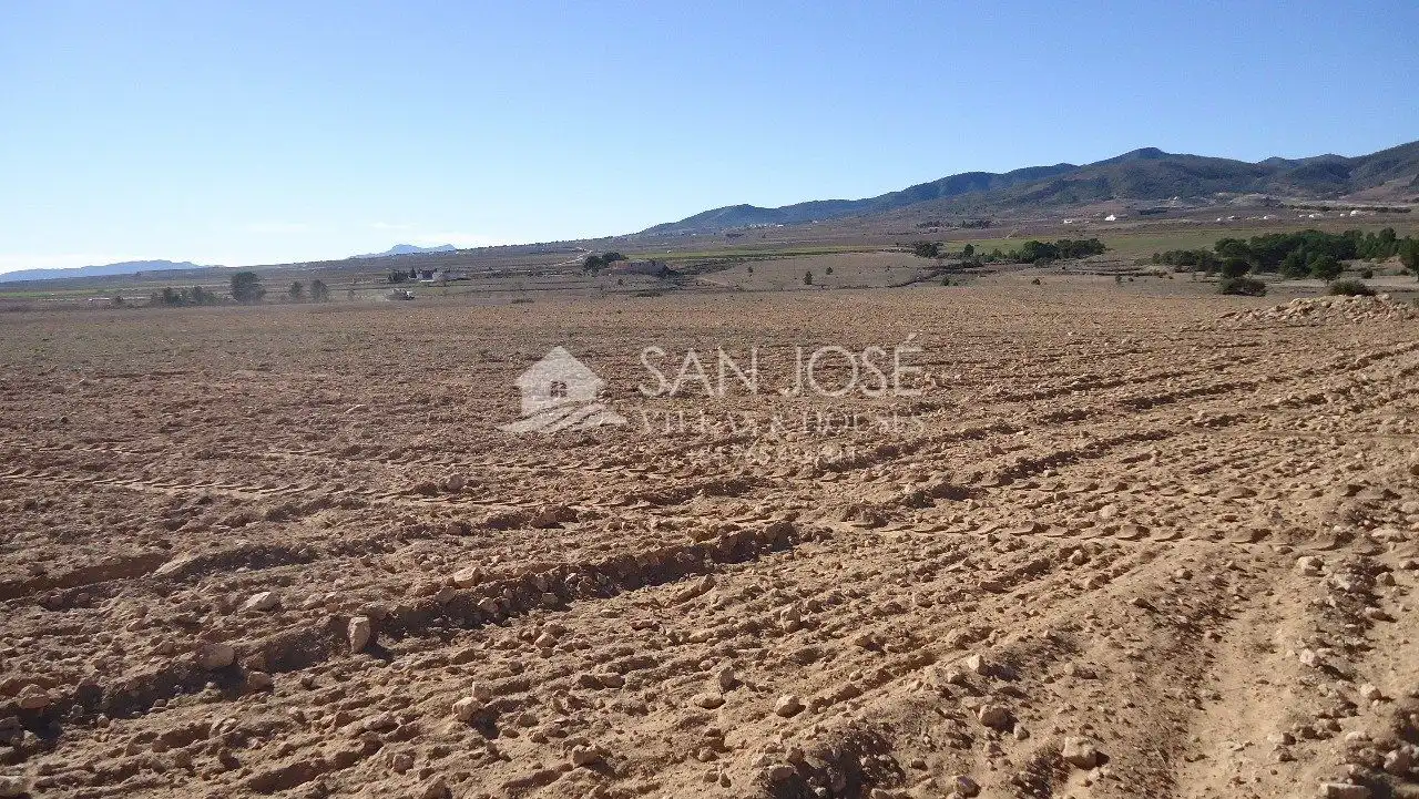Finca rústica en venda en Yecla
