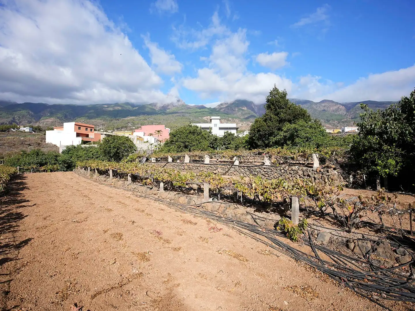 Vista exterior de Terreno en venta en Arafo, Santa Cruz de Tenerife