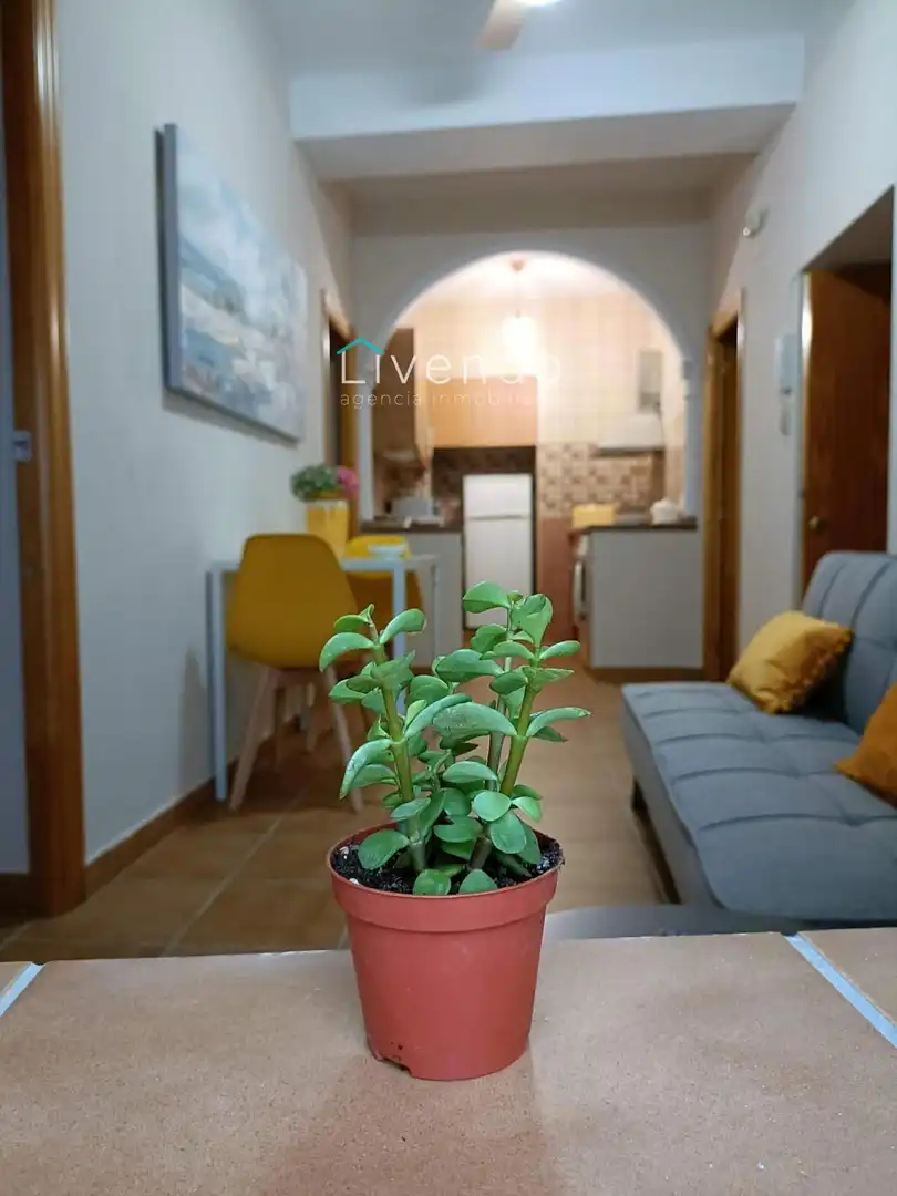 Sala d'estar de Casa o xalet en venda en Vejer de la Frontera amb Moblat