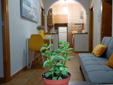 Casa in vendita a Vejer