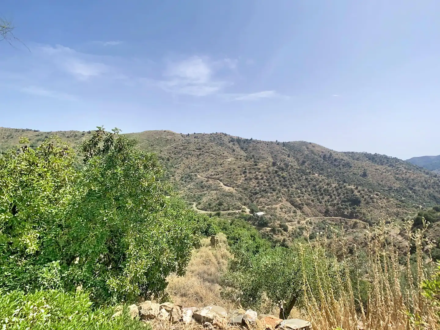 Houses for sale in Málaga  with Storage room