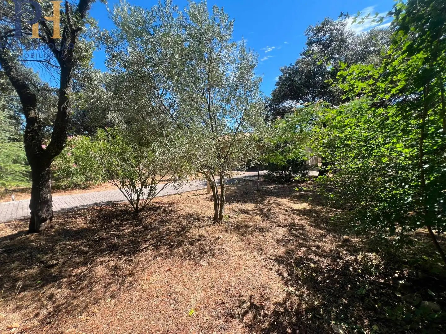 Villa mit Garten zum Verkauf in San Román de los Montes, imagen 42