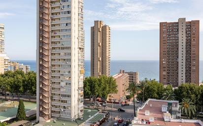 Vista exterior de Apartament en venda en Benidorm amb Terrassa i Traster