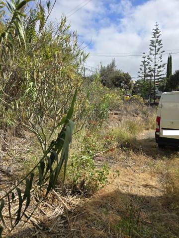 Terreno residencial en Venta en  Polígono 9 Paraje 150 MONDALON, 520 en Marzagán - Los Hoyos - La Montañeta