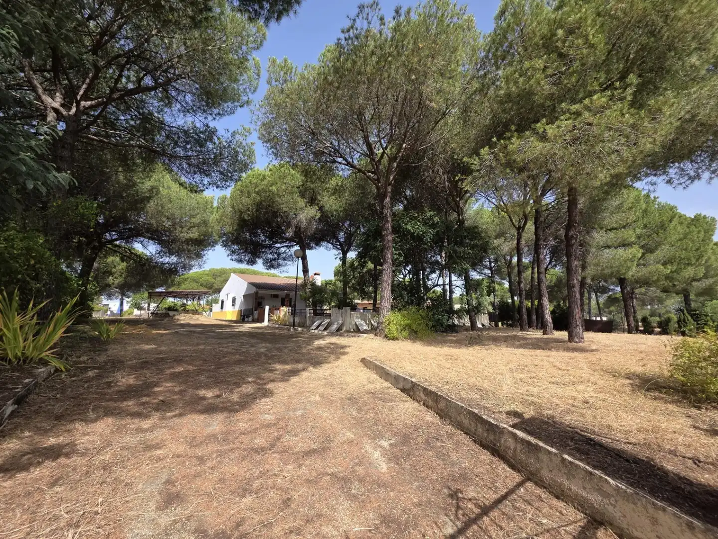 Casa o chalet en venta en Beas