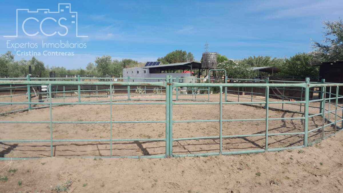 Vista exterior de Finca rústica en venda en Almonte amb Jardí privat