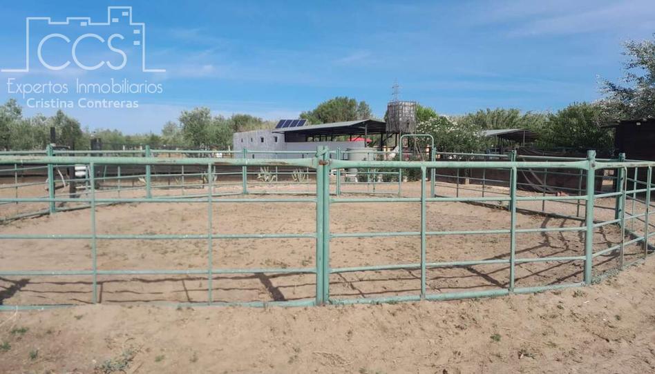 Foto 1 de Finca rústica en venda a Almonte ciudad, Huelva