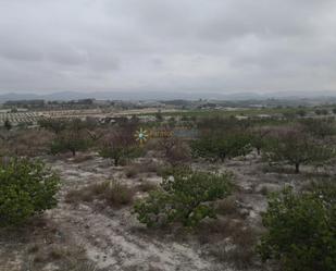 Grundstücke zum verkauf in Albaida