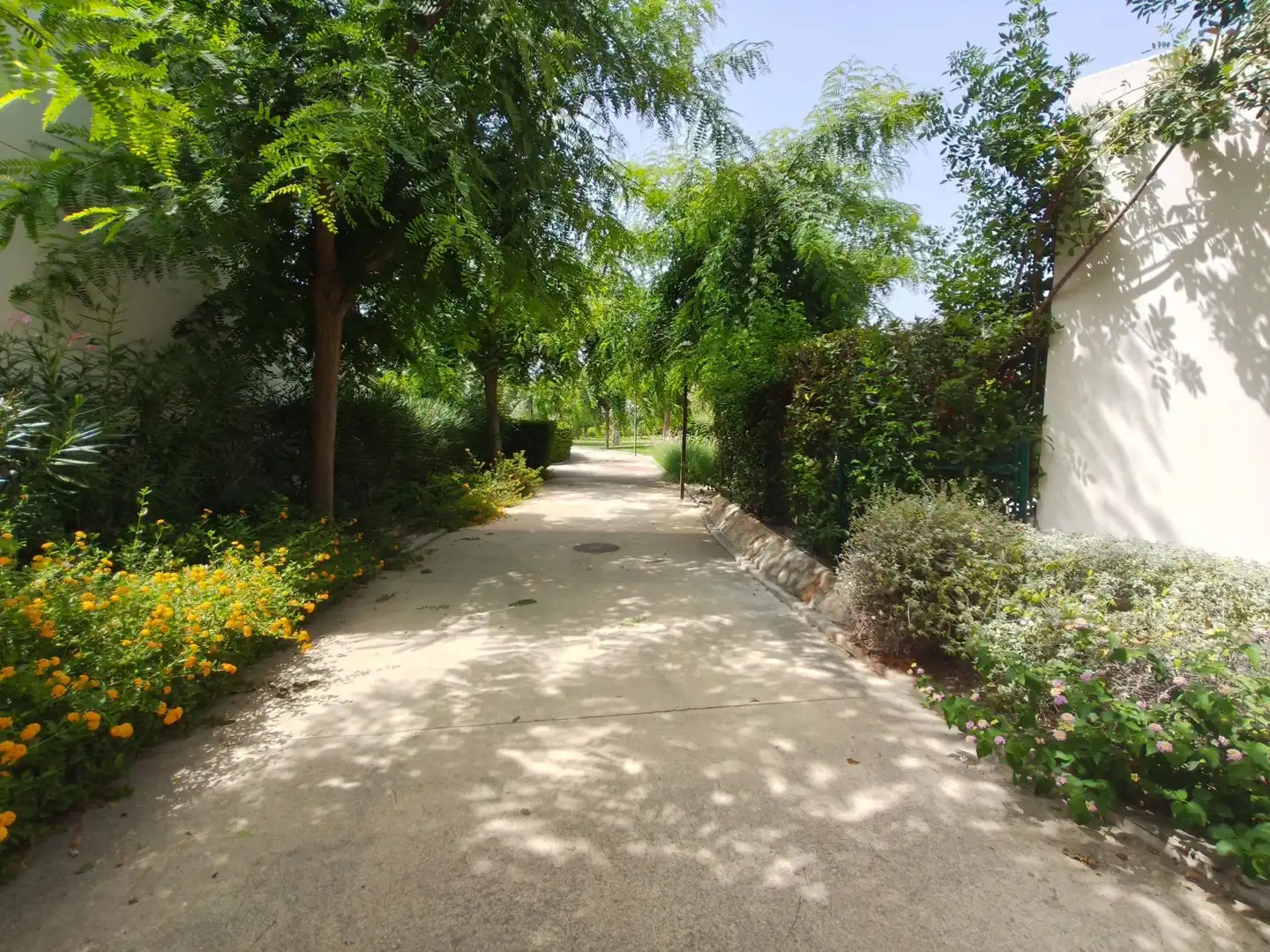 Flat with pool for sale in Poble Nou - Montiboli, imagen 14