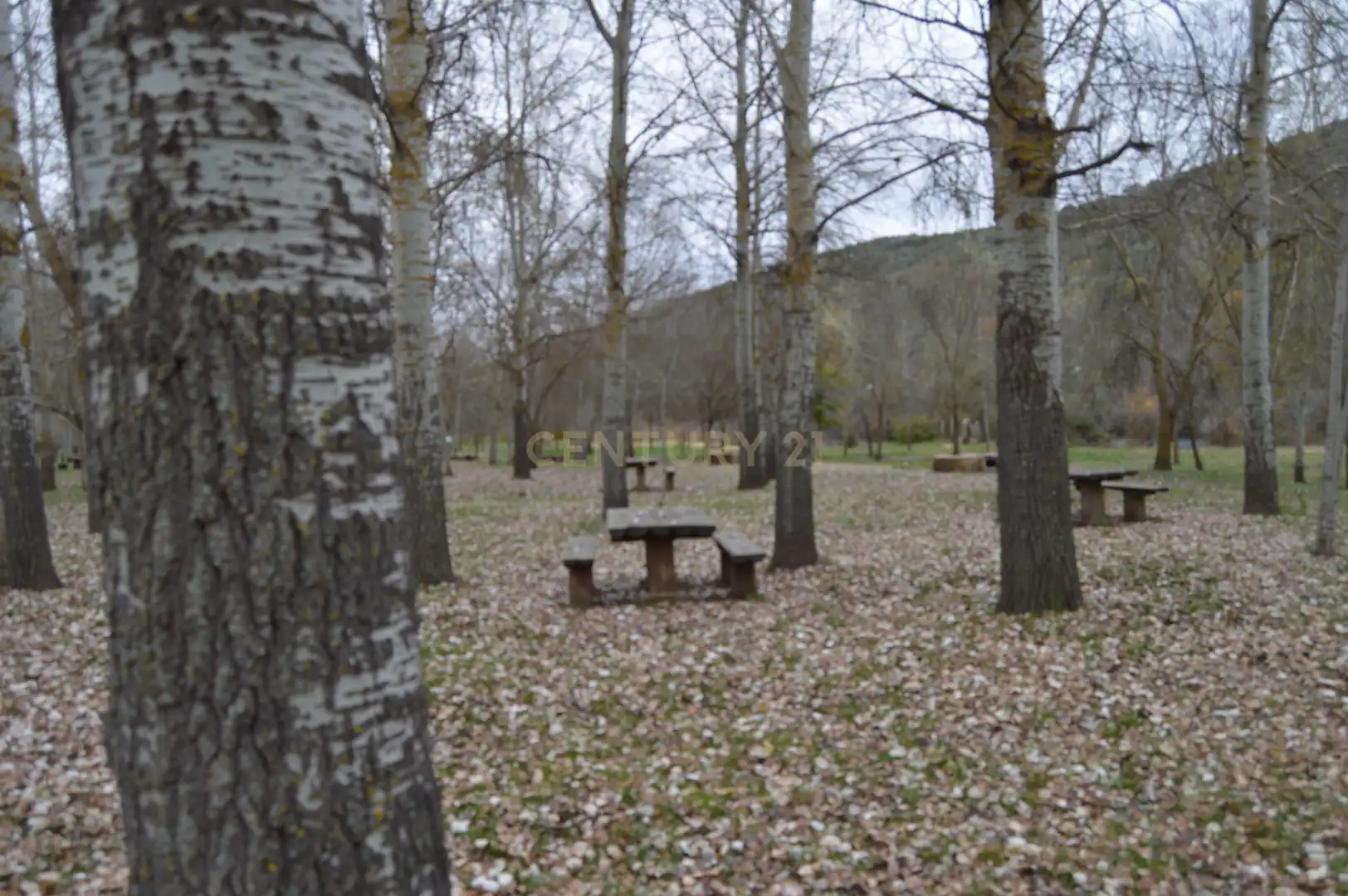Garden of Houses for sale in Piedrabuena  with Air Conditioner, Private garden and Storage room