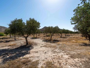 Rustikales Grundstück zum Verkauf in Polígono 5 Parcela 3 RETAMARES TABERNAS (ALMERÍ 5