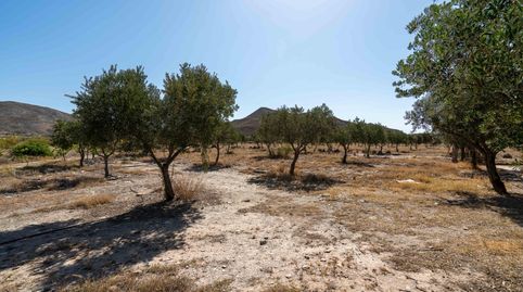 Finca de 18 Hectáreas en Tabernas