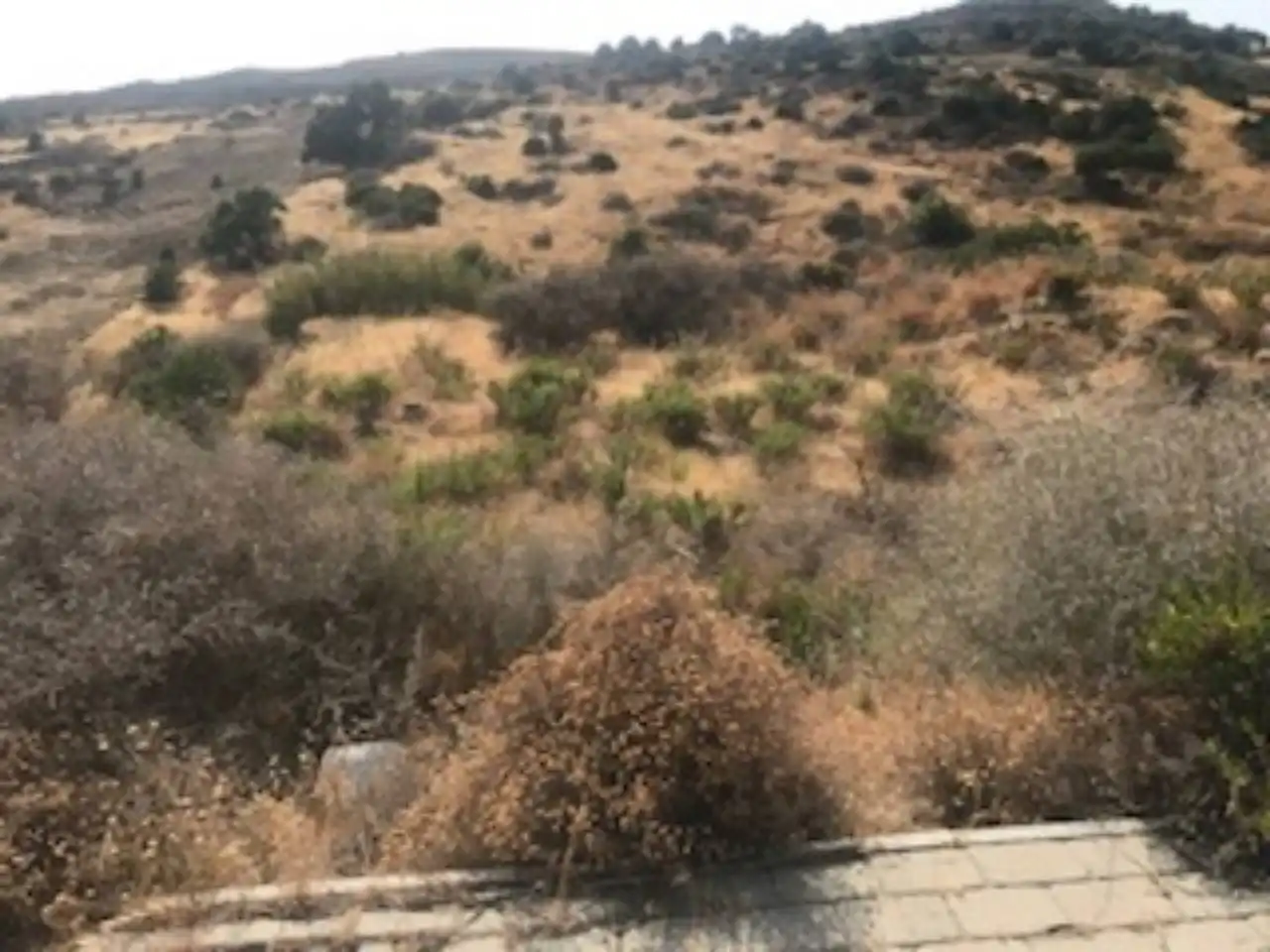 Industrial land for sale in Estepona