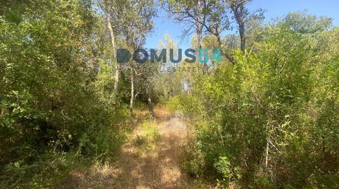 Foto 5 de Terreno en venta en Ciutat d'Alcúdia, Alcúdia