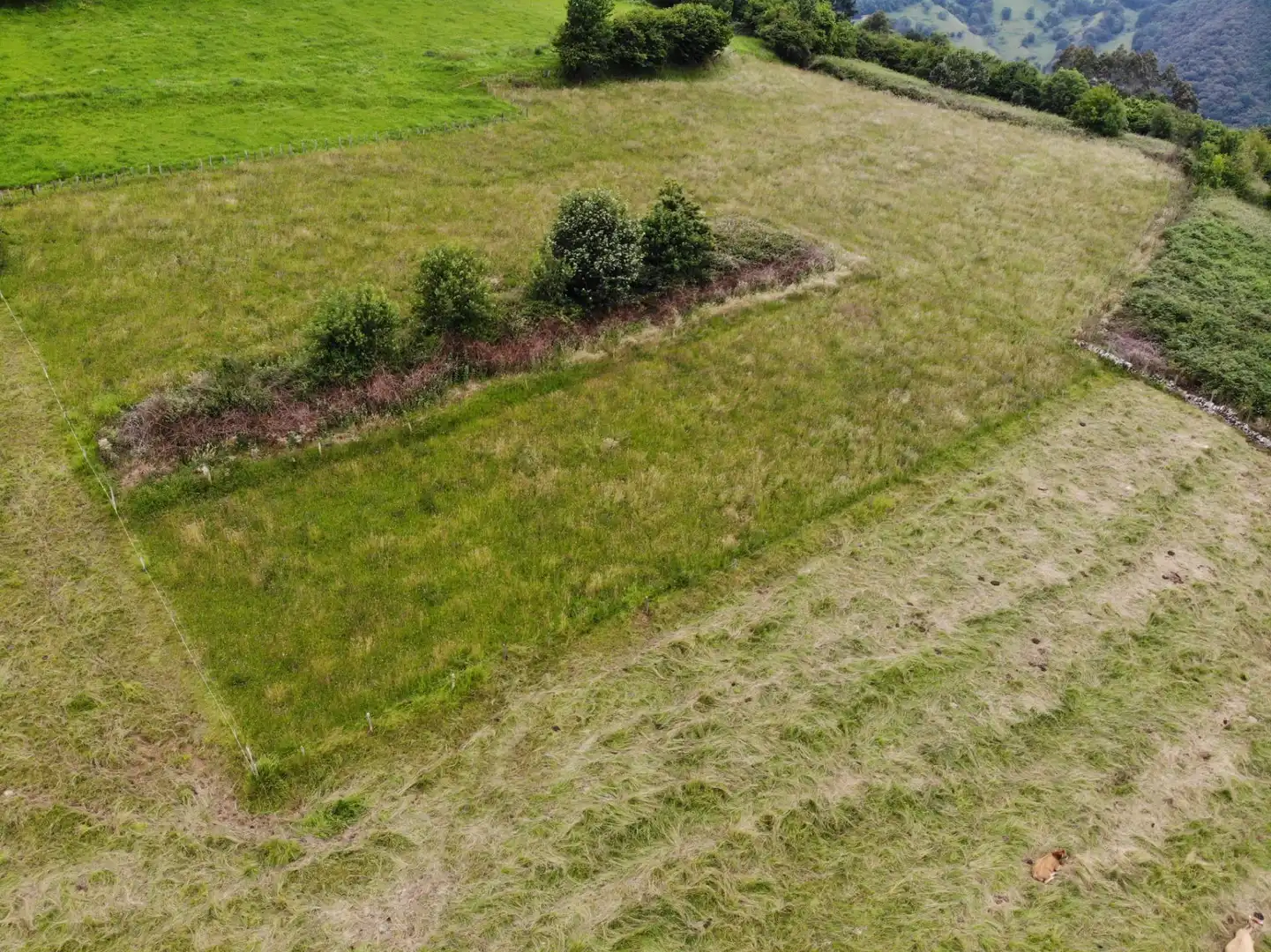 Terreny rústic en venda a Lugar VILLAGARCIA 30, imagen 34