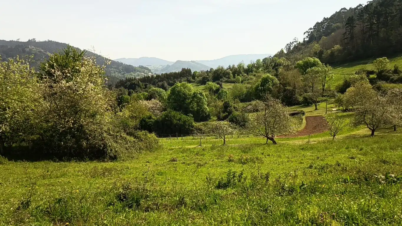 Terreno residencial en venta en AS-39, imagen 22