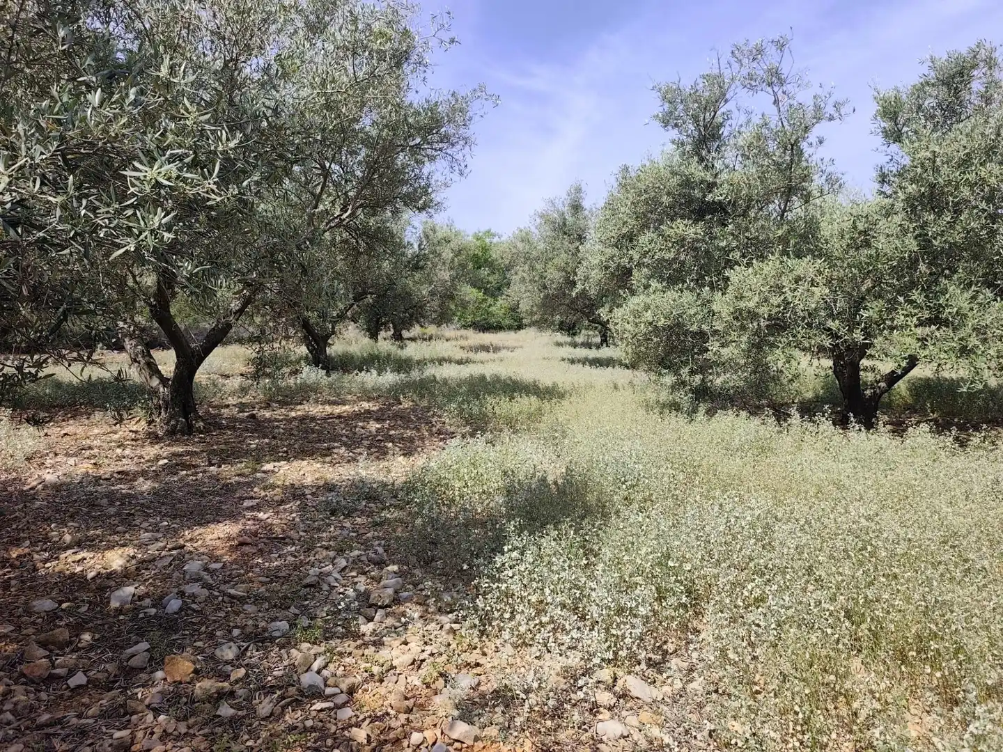 Houses for sale in Turís  with Private garden, Terrace and Storage room