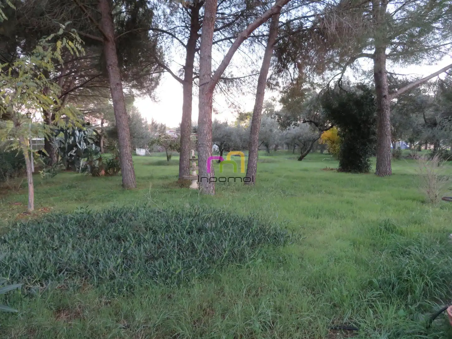 Finca rústica en venda a Casco Antiguo