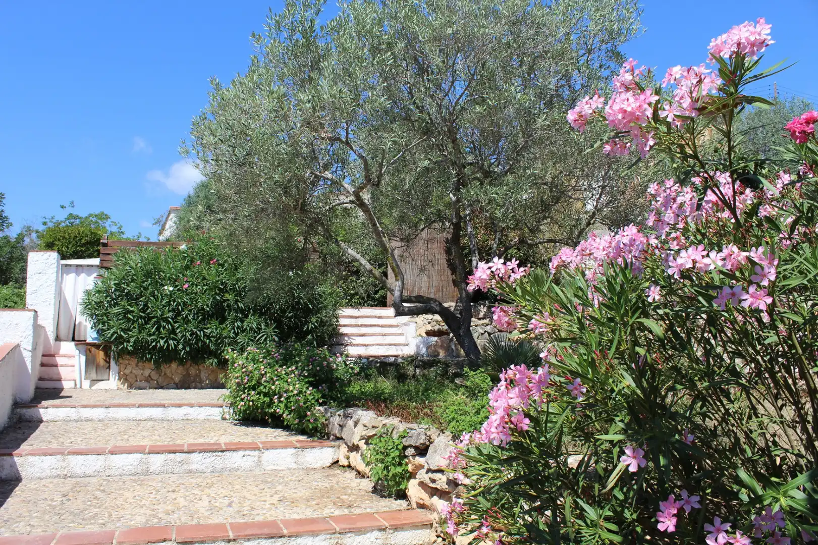Jardín de Casa o chalet en venta en Vespella de Gaià con Jardín privado, Piscina y Amueblado