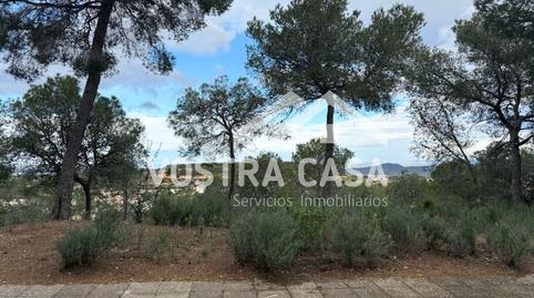 Foto 3 de Terreno en venta en Dos, -1, El Bosque, Chiva