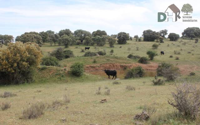 Terreno residencial en Venta en Universidad - Tenerías