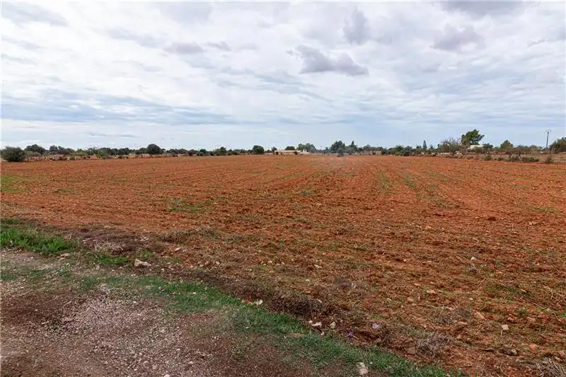 Rustikales Grundstück zum Verkauf in Llucmajor pueblo