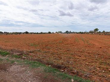 Rustikales Grundstück zum Verkauf in Llucmajor pueblo