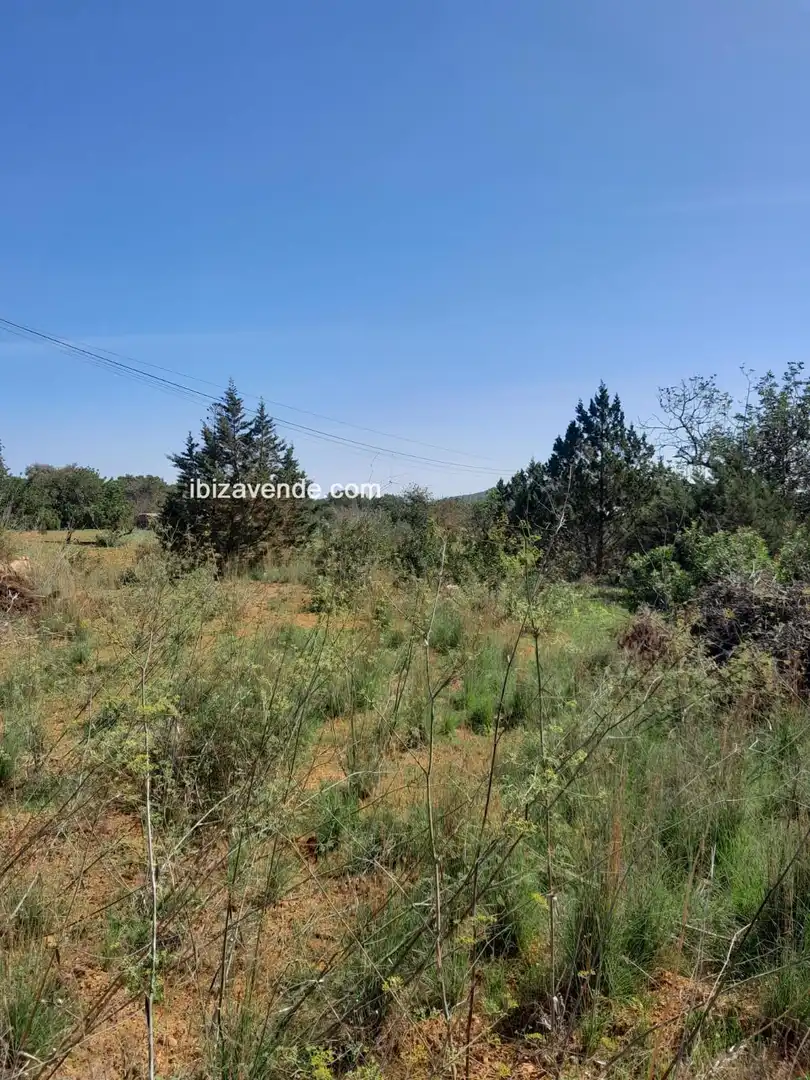 Terreno en venta en Es Canar, Sant Carles