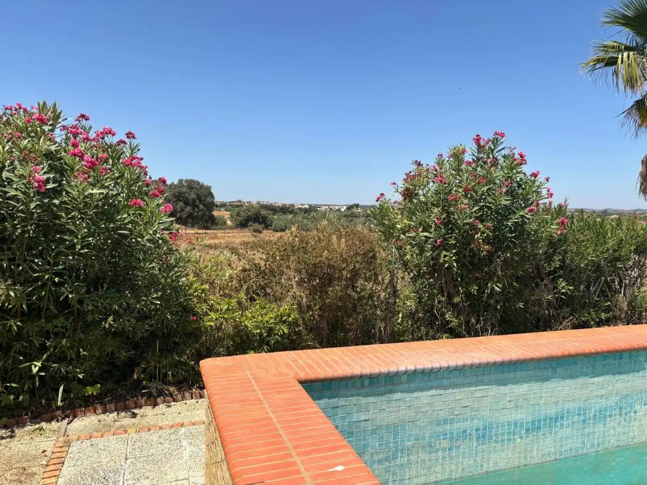 Finca rústica en venda a San Bartolomé de la Torre