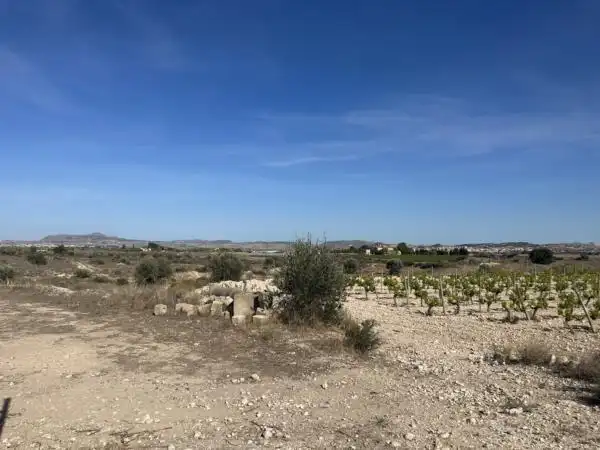 Rural land for sale in Novelda, imagen 6