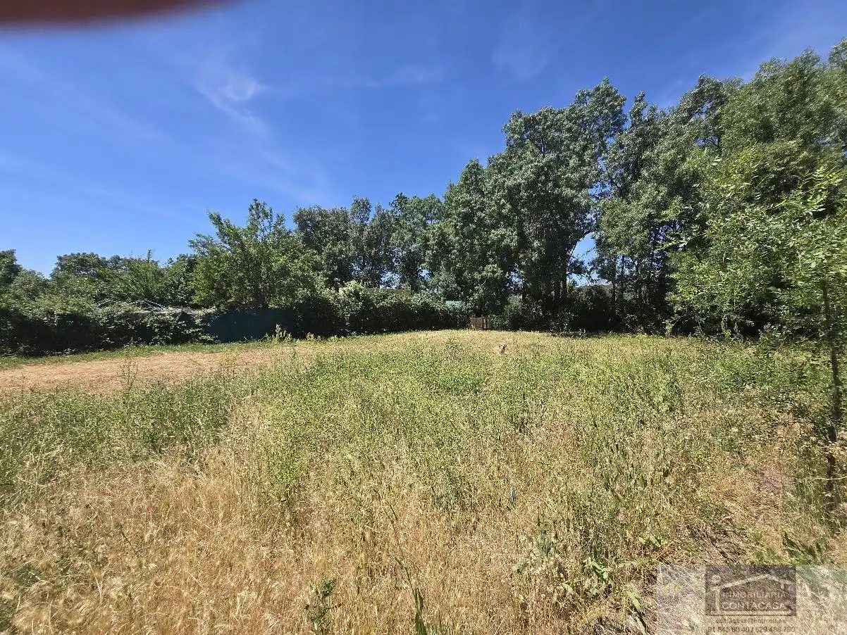 Finca rústica en venta en La Moraleja