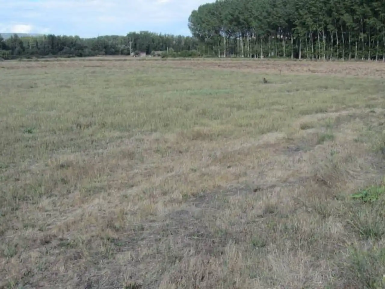 Terreno residencial en venta en Poligono 15, imagen 12