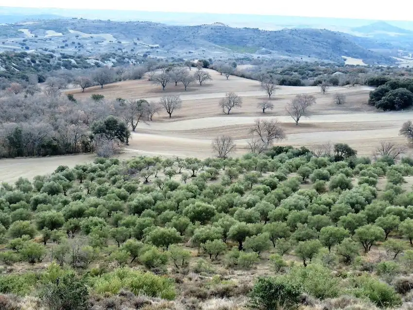 Terreny residencial en venda a Valdemorillo pueblo